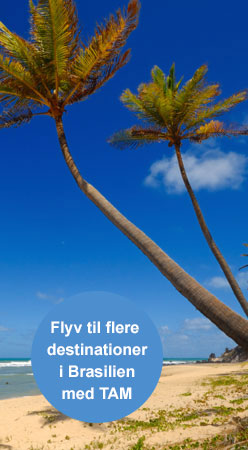 Fly til Brasilien